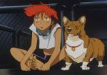 corgi-700x500.png