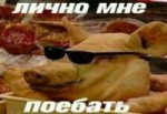 2252b2d111b28332494ffa27aa5b1a13[1].jpg