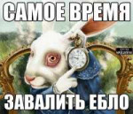 s0310cdf0Sg.jpg