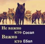 1561812403543.png