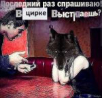 1561812403549.png