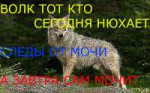 1561812617415.png