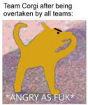 opyafp1vo4731.jpg