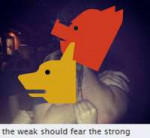 e96 copy.jpg