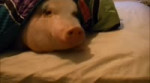 1561849092558.webm