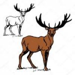 depositphotos111156954-stock-illustration-forest-deer-figur[...].jpg