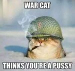 WarCat