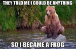 They-Told-Me-I-Could-Be-Anything-Funny-Bear-Animal-Meme-Ima[...].jpg