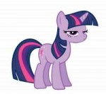 twilightsparklethatwaspointlessbygeogo999-d4le4gr.png