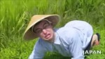 welcome to the ricefields.webm