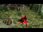 DarkSoulsII -11-08-37-37-53.webm