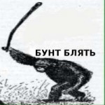 В.jpg