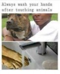 1519766504143867570.jpg