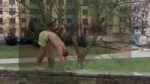crawling in my crawl.mp4