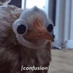 15177389723320.gif