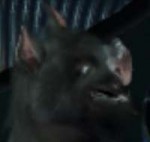 ss (2018-03-12 at 07.18.53).jpg