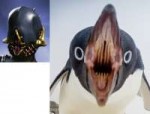 q7kgj6bdcql01.png