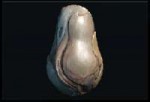 Kubrow-Egg.png