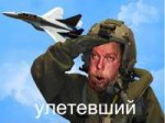 гифки-5-бутылок-водки-зеленый-слоник-Пахом-382175.jpeg