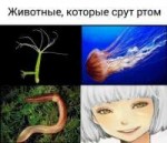 pjoAdi7gadw.jpg