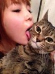 Shokotan-Beloved-Cat-3.jpg