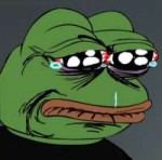 341.jpg