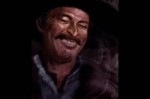 343.webm