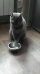 Waiting for Content.mp4