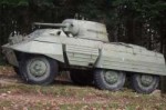 M8GreyhoundMrakovica.JPG