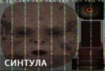 СИНТУЛА2.png