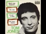 Tom Jones Whats New Pussycat[Low,480x360, Mp4].mp4