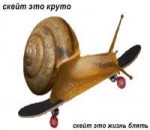 2437246.jpg