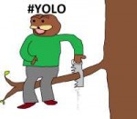 yolo-1.png