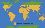 scorpion-facts-range-map.gif