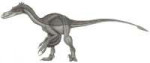 Velociraptormongoliensisjmallon.jpg