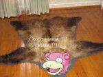 Slowpoke-песочница-133734.jpeg