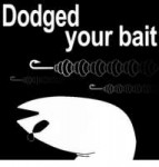 dodged-your-bait-19269059.png