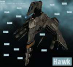 hawk.jpg