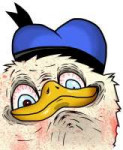 dolan.jpeg