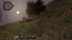 anomalousbush.jpg