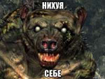 risovach.ru (2).png