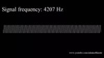 20Hz to 20kHz (Human Audio Spectrum)(360p).WebM