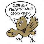 15329811888380.png