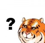 question tiger.jpg