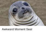 awkward-moment-seal-19387419.png