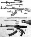 stg44-vs-ak