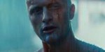 blade-runner-rutger-hauer.jpg