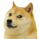 doge.png