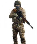 Mpassaulteralfa512x256.png