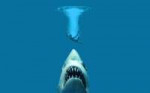 sharks-jaws00338010.jpg